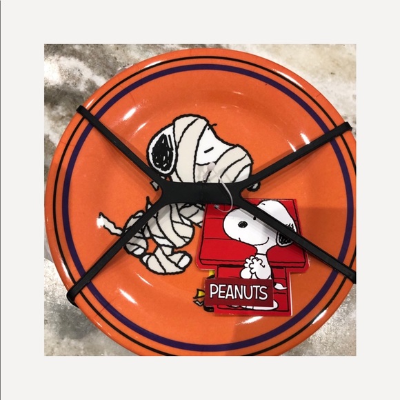 Peanuts SNOOPY HALLOWEEN MUMMY Melamine Plates 8” - Picture 3 of 4